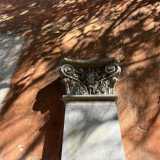 ...anche se pu� contare su un elegante portico adornato con lesene dai capitelli corinzi